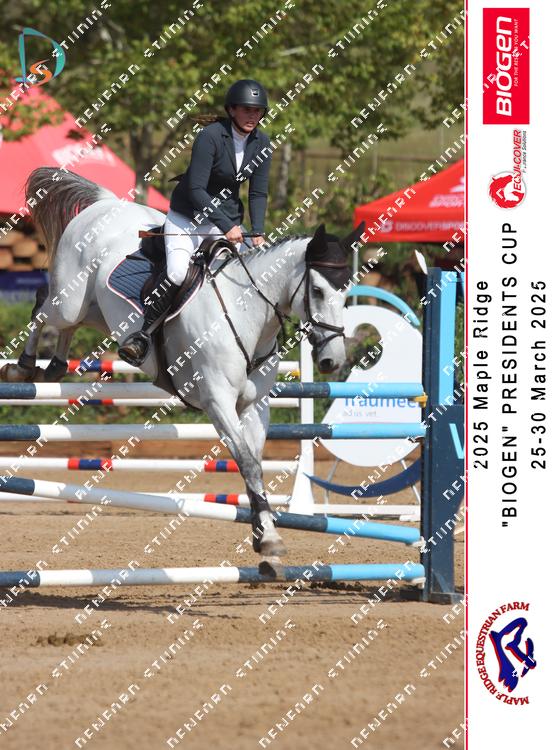 8848612 - nkbs4zipaso4wgz