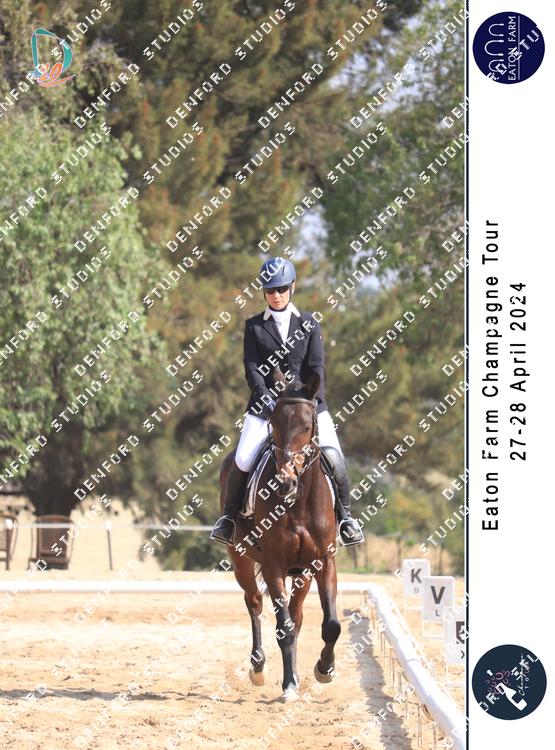 5303044 - 53egcntuha6kdsd