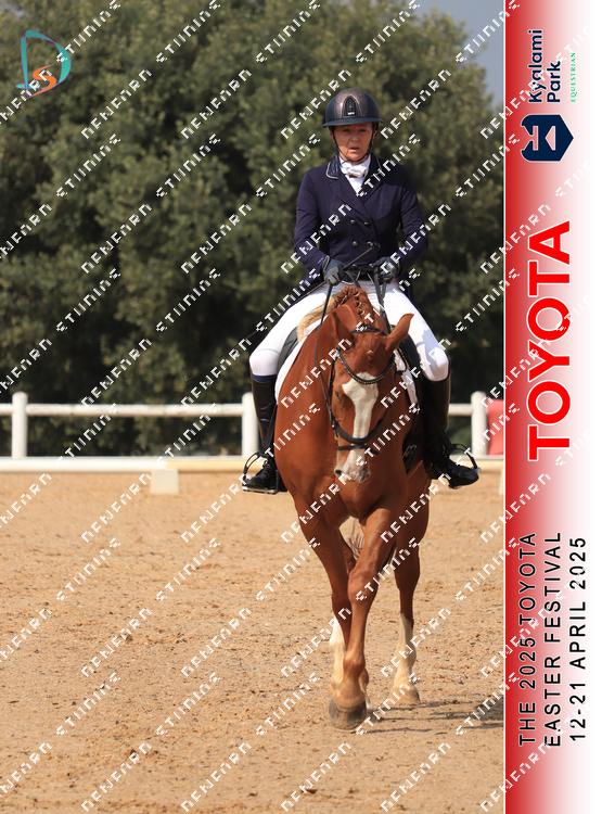8972106 - 3ahvvo4lnk2visk