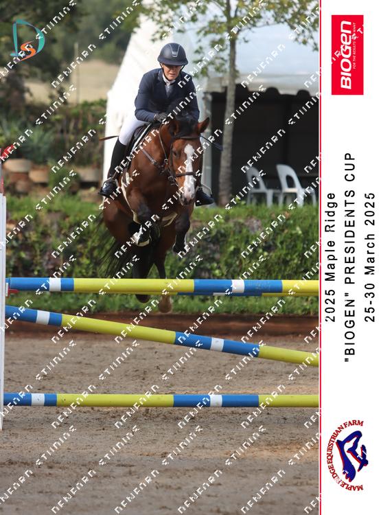 8802907 - demheelw9sdazoe