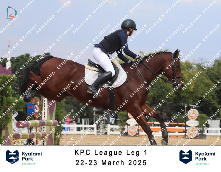 8766125 - hroucpalkjze3xz