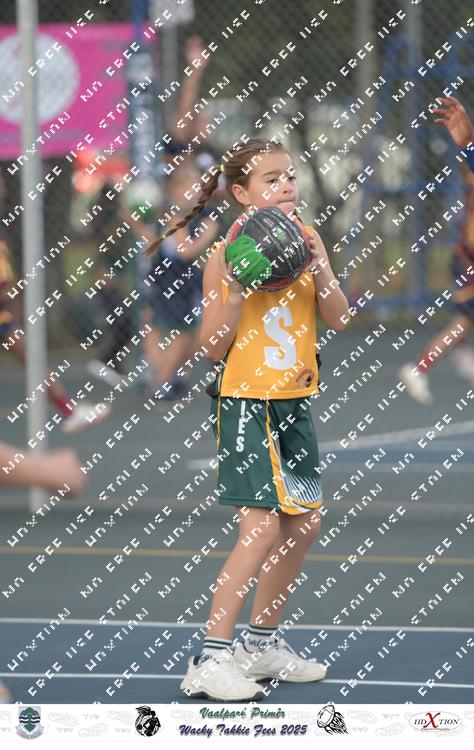 9036579 - vrf6eqgyhjhc2ds