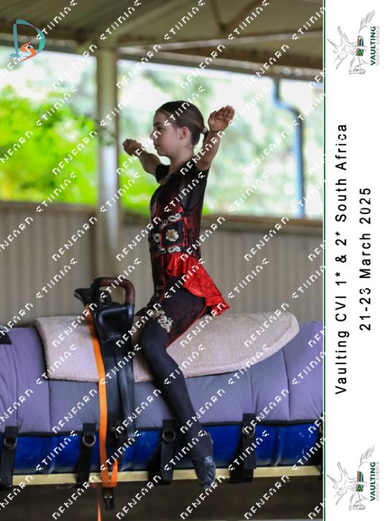 8779084 - a4dhwsmf8anteru
