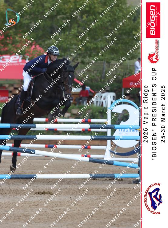 8848323 - vmhajevskhcbzqx