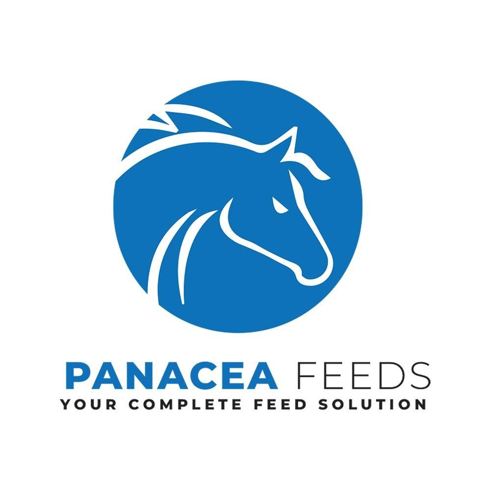 9513537 - z6j2qqha97