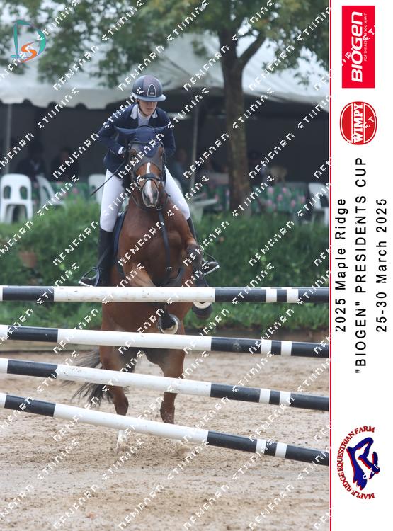8816949 - hpdt7ncdrhueq7b