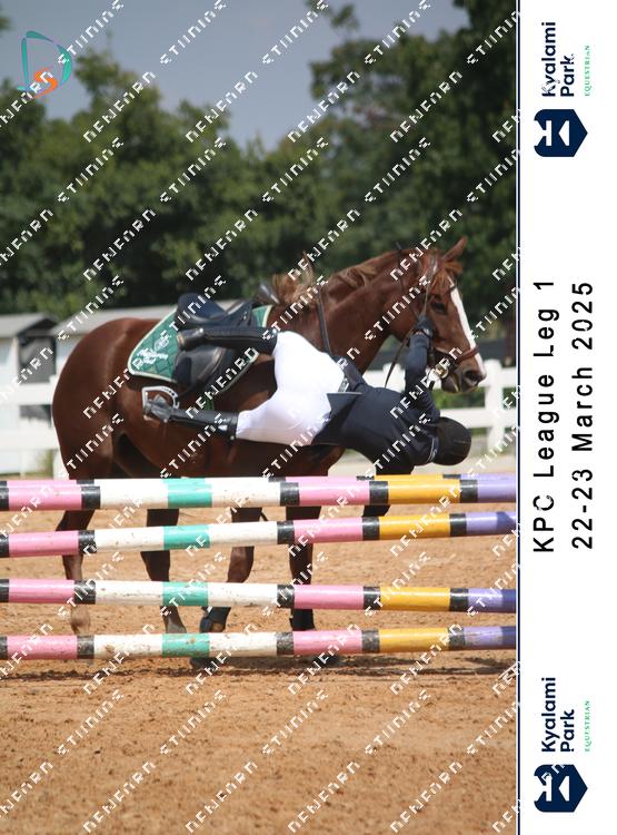 8753927 - qcredv5uma6l9wx