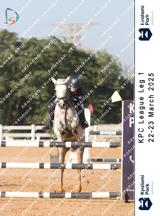 8786136 - ytk5homkrppilmj