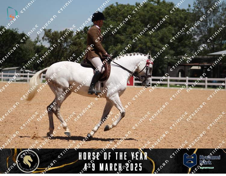 8626460 - cz4jihra4lfps6q