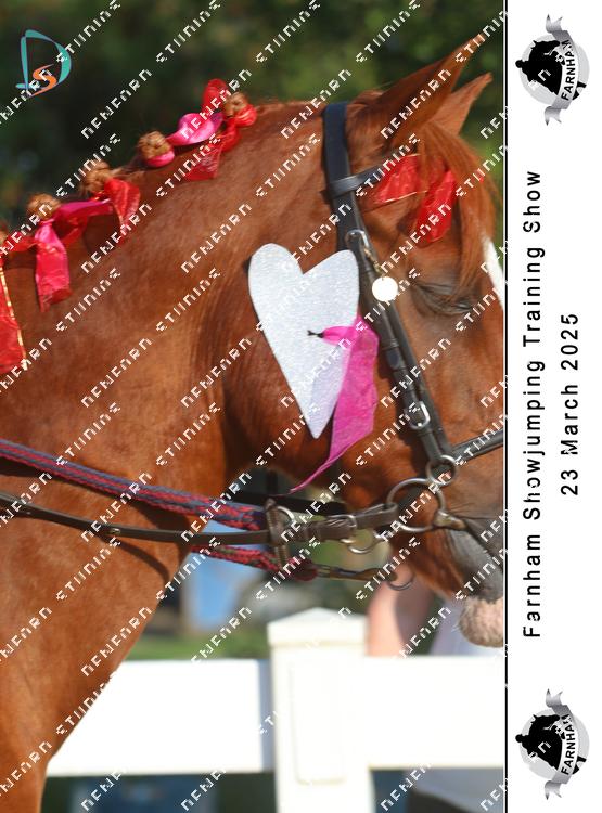 8790018 - hgvxeu2ecapsefm
