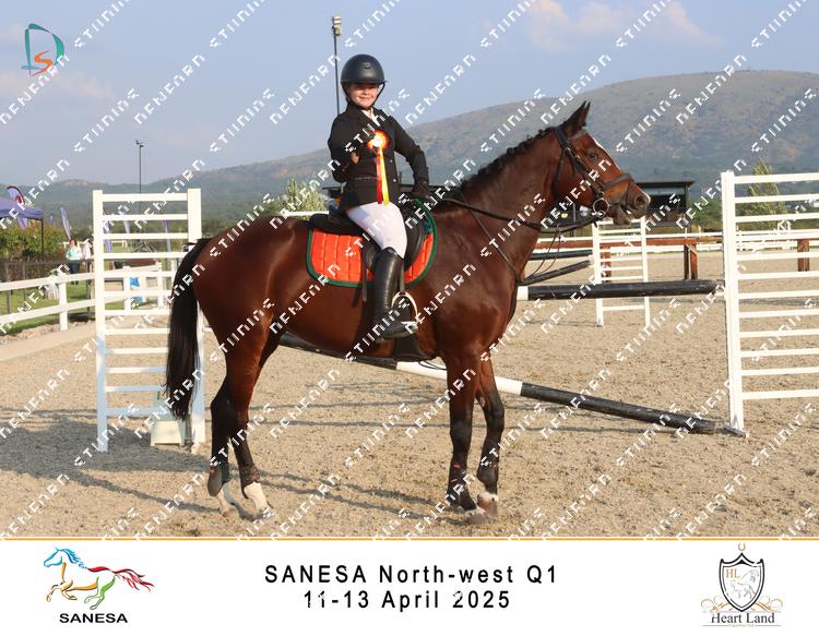 8937108 - nke3niiz9dhr6tg