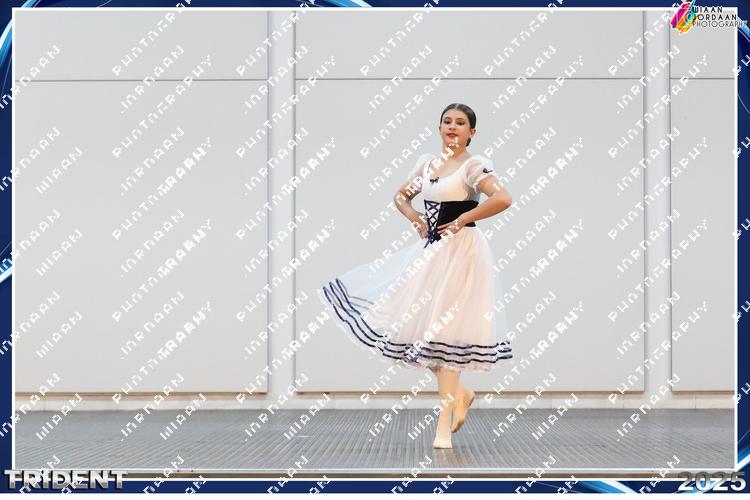 9265926 - 8v9rxxnldx2dqtq