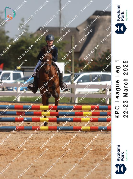 8786415 - bz3x2mchwmcupng