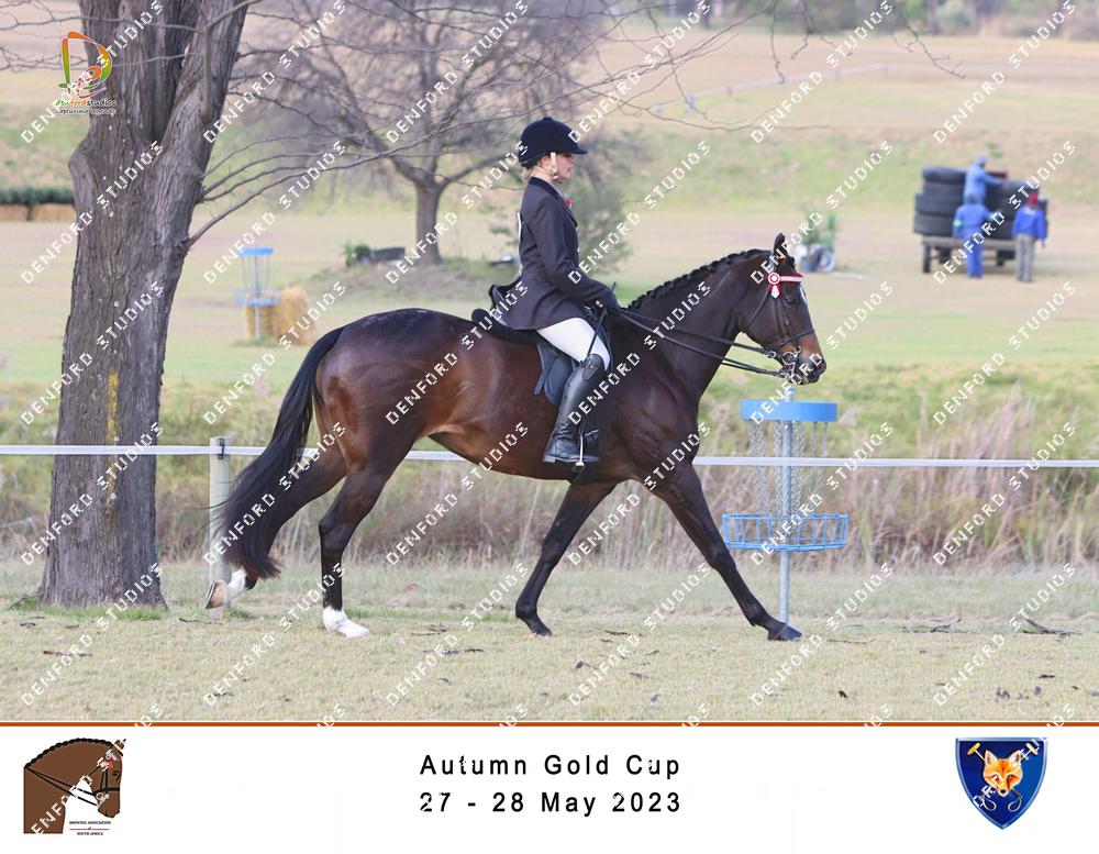 2279038 - AxuzcFPfUM