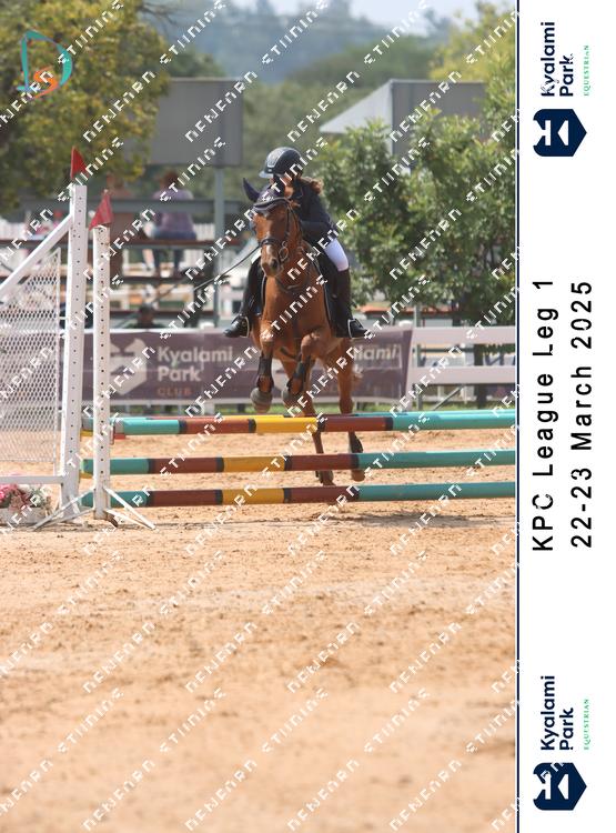 8787830 - 2xvq8cpa4vxp2n6