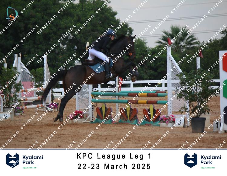 8754497 - scgph3tqkchezdg