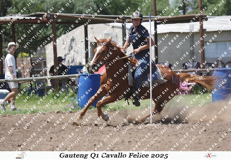 8356919 - qnqgnavg8tfq7th