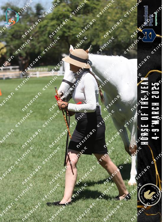 8619492 - cgcepw2dmynnb7s