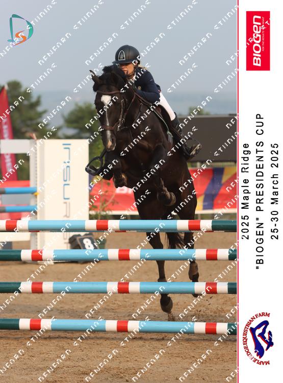 8801832 - znjanuy7kfc4ac4