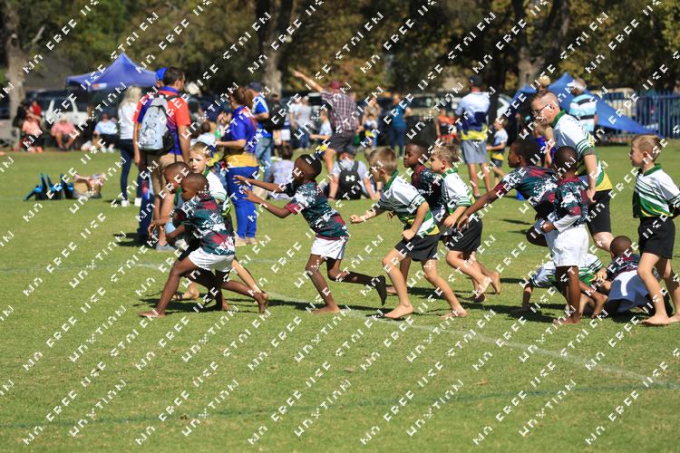 5498250 - ags9dag9ryrfcsi