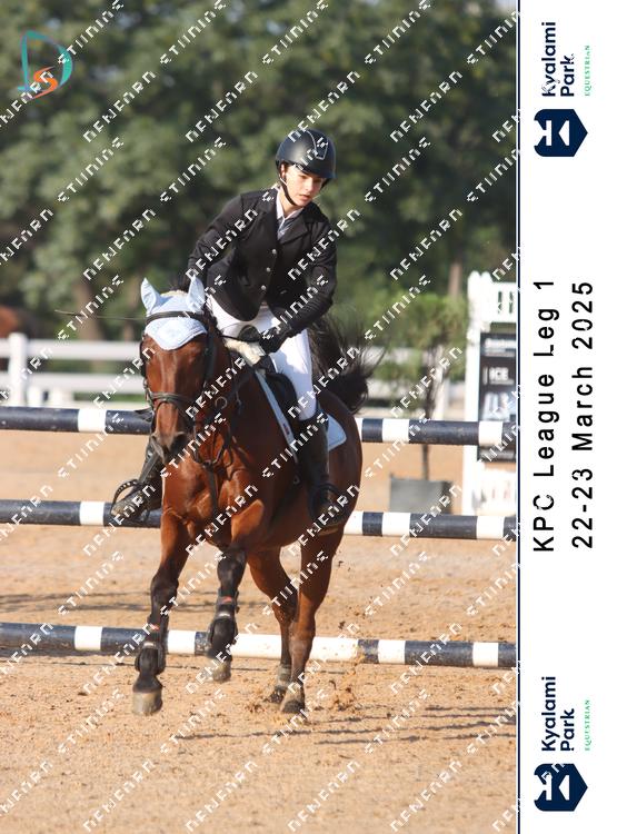 8786342 - czrea2sr8sf8zfy