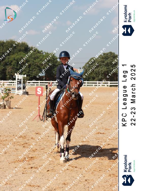 8786210 - vebyn2nxwzdgyvd