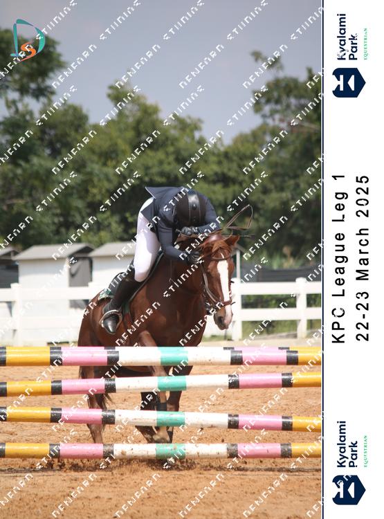 8753983 - gkfqvyc8jsvqzaw
