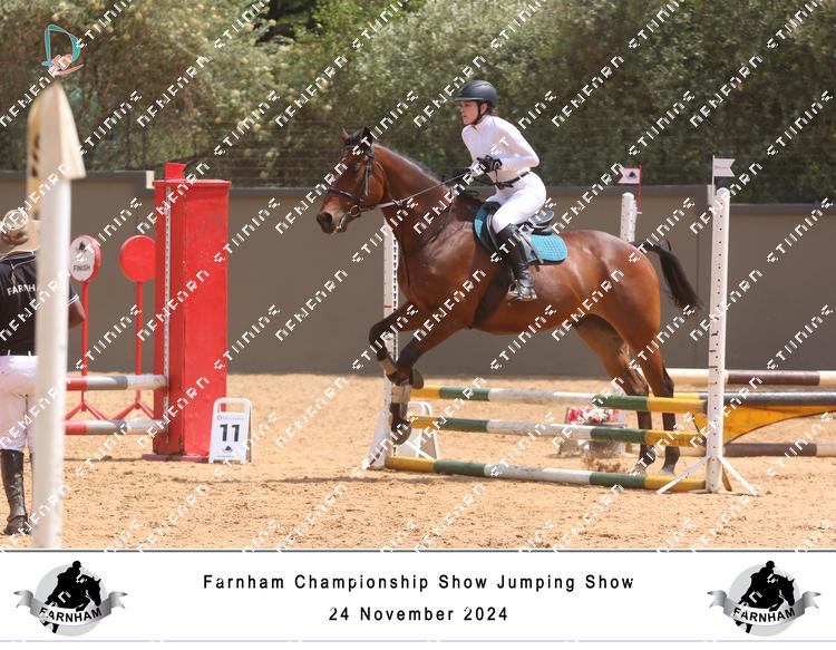 8146190 - pmv7thhxfa4s788