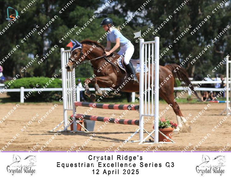 8966928 - etobcezp9dxqxkh