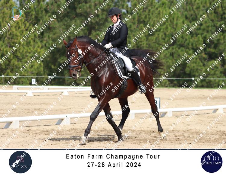 5274029 - 7taka7w9bqgb3ga