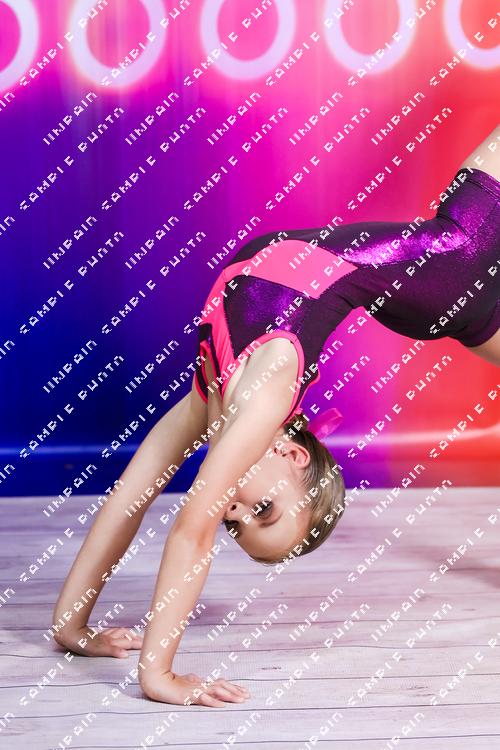 8288146 - evrwt57vnqvc2fa