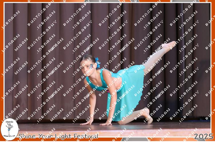 8942385 - saylsr8vtllesnb