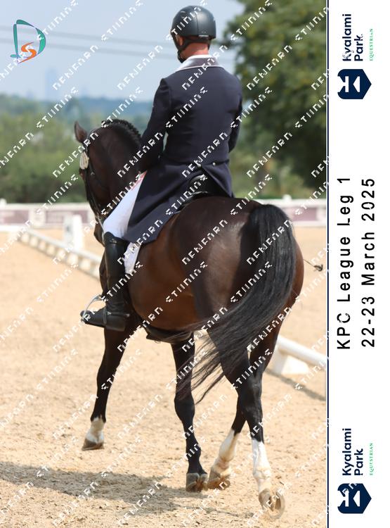 8794352 - fuuflchkjjqhfuj