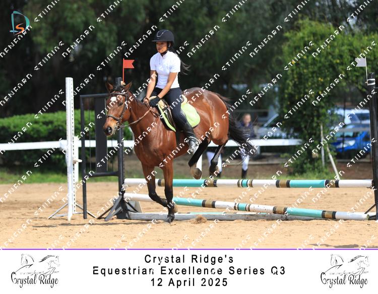 8965908 - c9i55b6eahe4tar