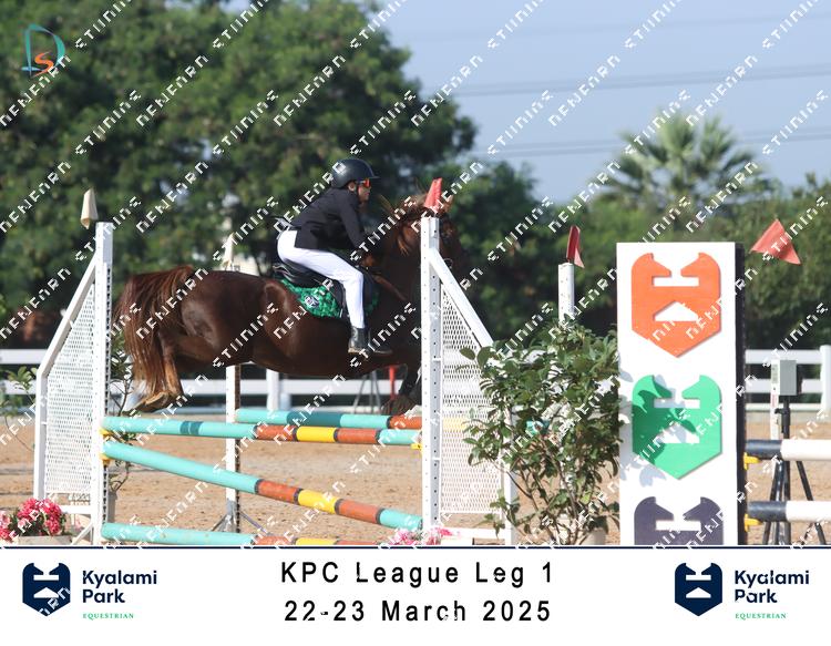 8786300 - kfzxvgka3kryuca