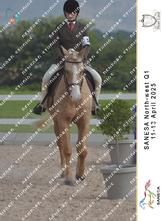 8983388 - gomw6oracy259pb