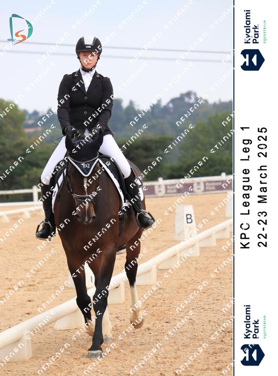 8769051 - hrapvf7qbcx8ysn
