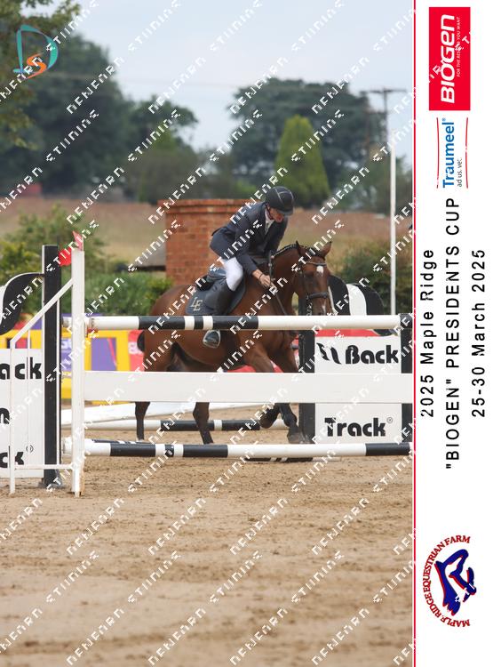 8847523 - gvitojvhezapbnu