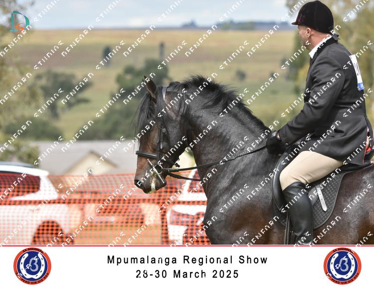 8851864 - fcs2mqe2hj7yyhb