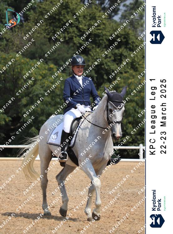 8791953 - pbgpfqvenhap66g