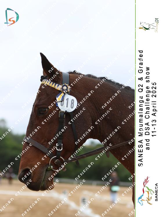 8933272 - 3pvaj2ckriqnwby