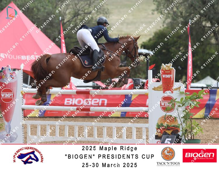 8818743 - mfmcvkujug26hza