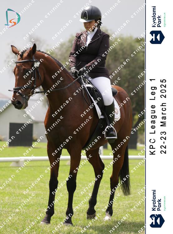8770469 - nzblqexyugsxzh4