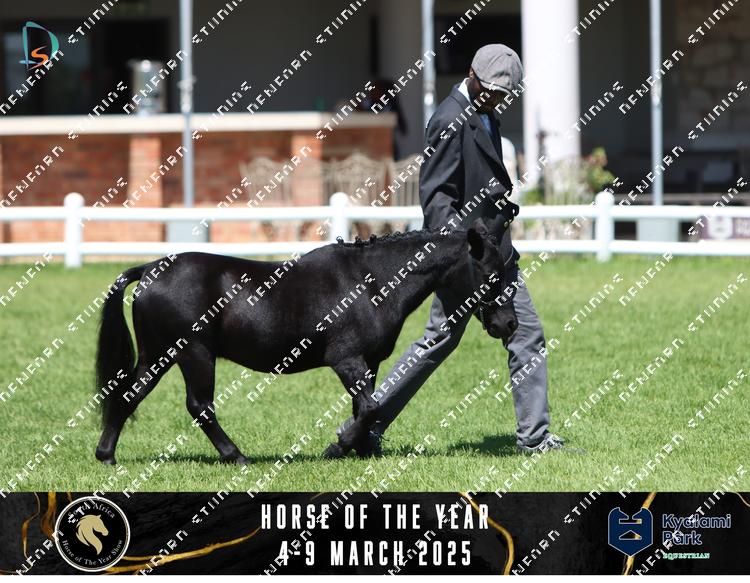8632557 - 9tjcfkbac7vs9eq