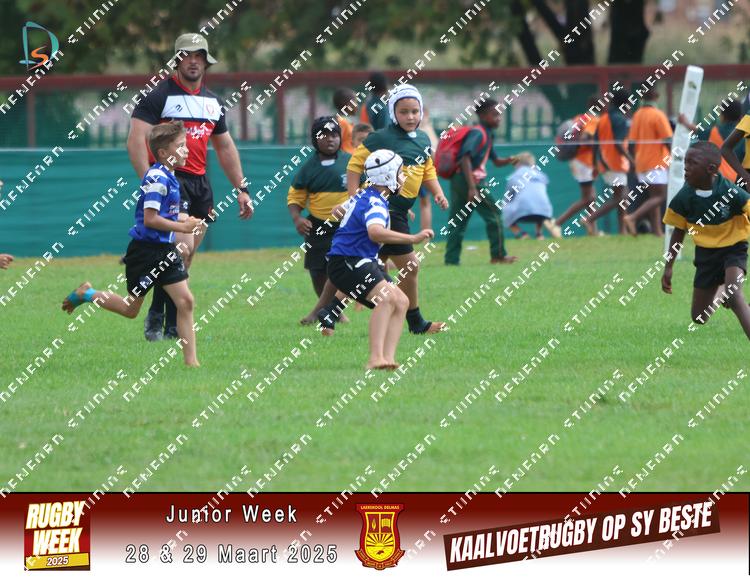 8834690 - gktsseu7kjmfzs8