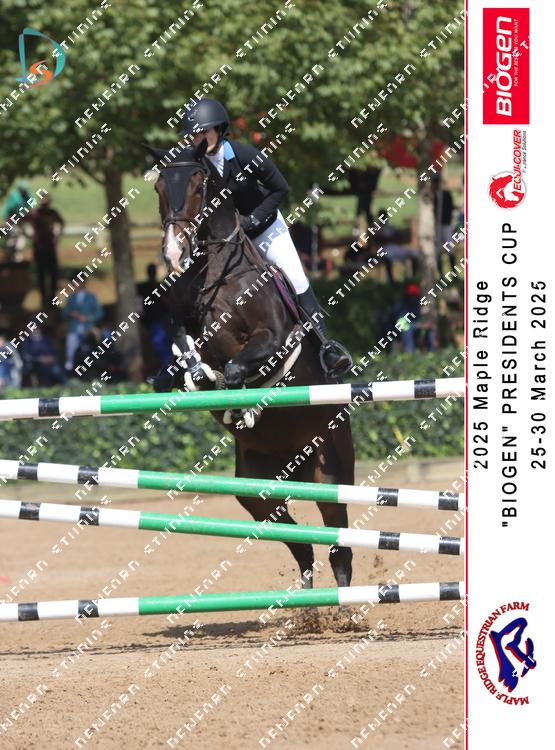 8848335 - kivucffs4ysnrqq