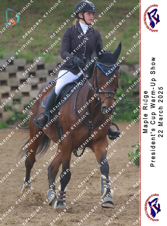 8775268 - ccqd2joet3ccefy