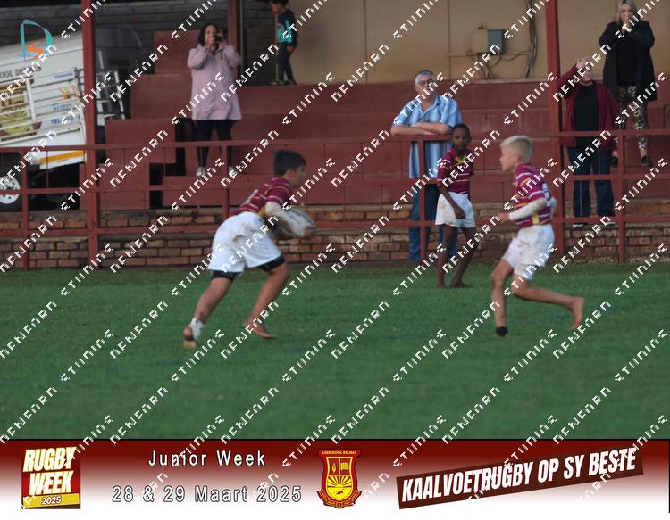 8825391 - euwlra6hwlfbk5s