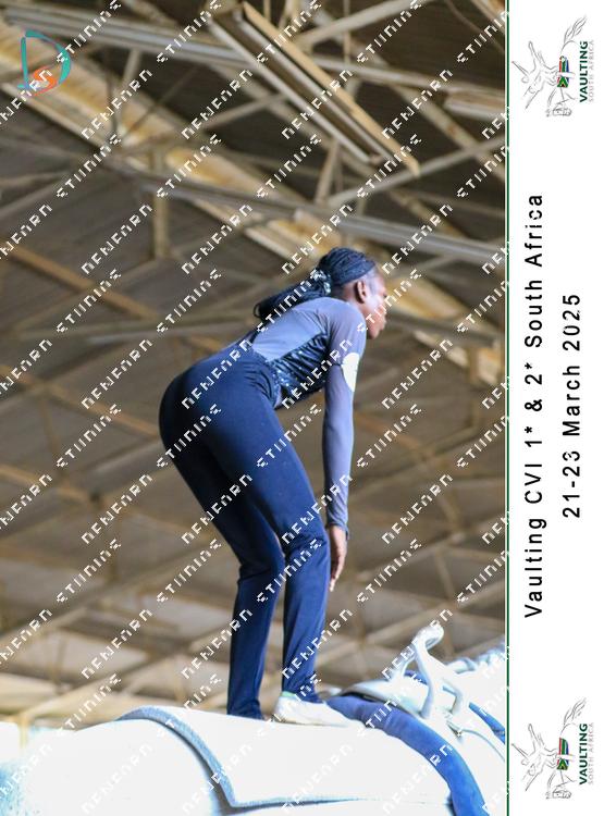 8778374 - o4xeb9zvwzytsgs