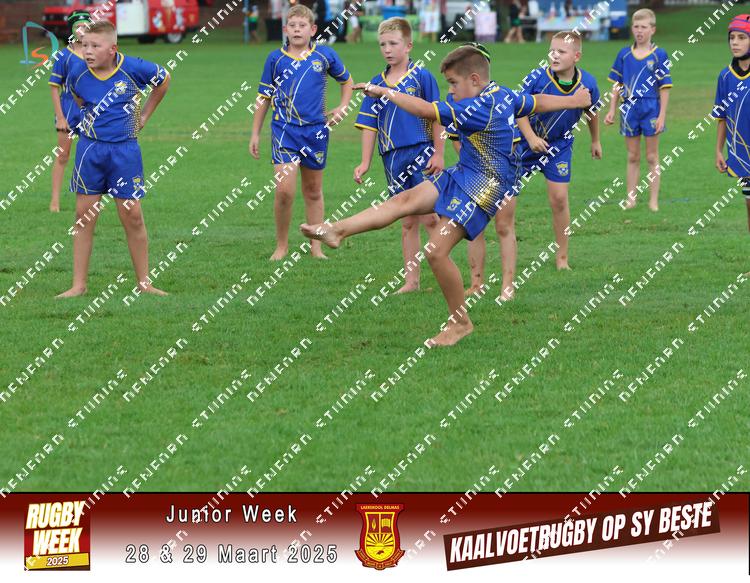 8822609 - rutesrmyjdk9fne